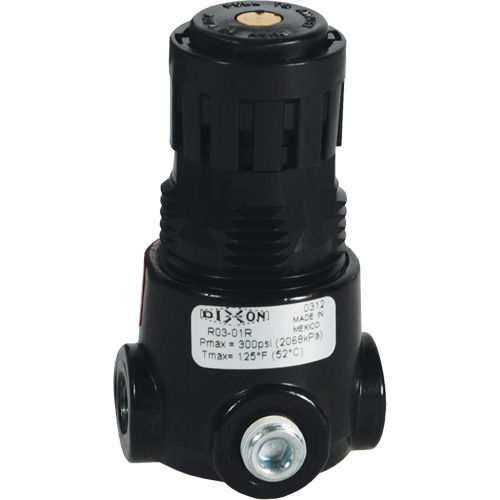 Wilkerson Miniature Regulator R03, 1/4" NPT, 300 psi Max. PSI, Standard TGS INDUSTRIEL