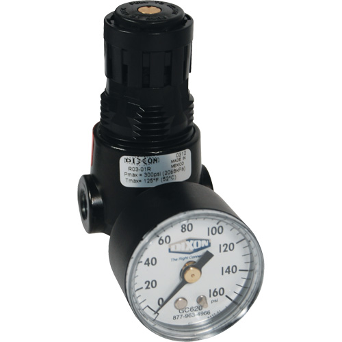 Wilkerson Miniature Regulator R04, 1/4" NPT, 300 psi Max. PSI, Standard TGS INDUSTRIEL