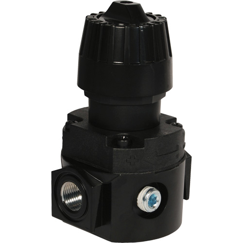 Wilkerson Compact Regulator R16, 1/4" NPT, 300 psi Max. PSI, Standard TGS INDUSTRIEL