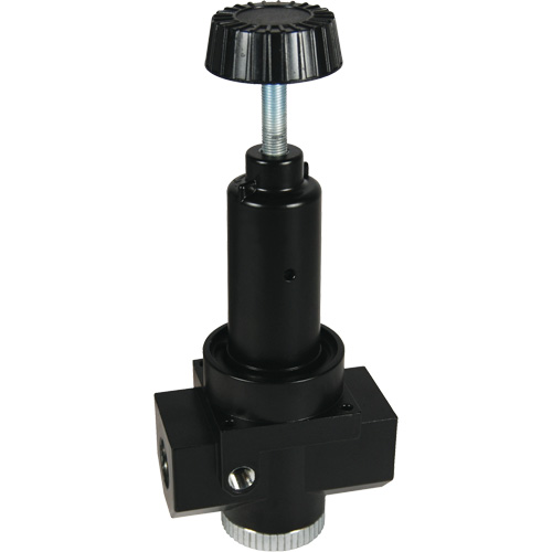 R&eacute;gulateur &agrave; d&eacute;bit &eacute;lev&eacute; R30 Wilkerson, 1" NPT, PSI max. de 300 psi, Standard TGS INDUSTRIEL