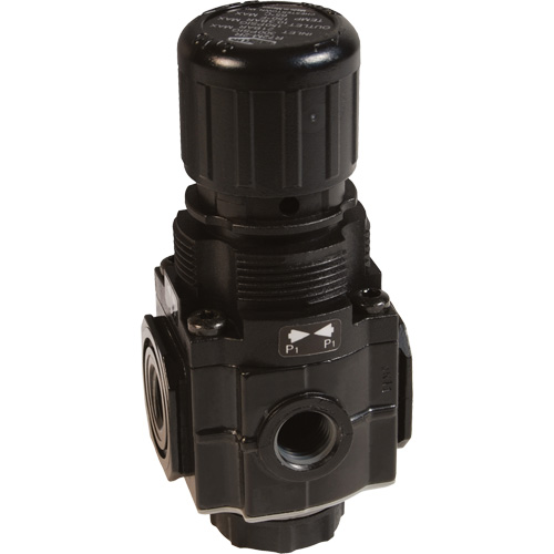 Series 1 Manifold Regulator, 1/4" NPT, 150 PSI Max. PSI, Standard TGS INDUSTRIEL