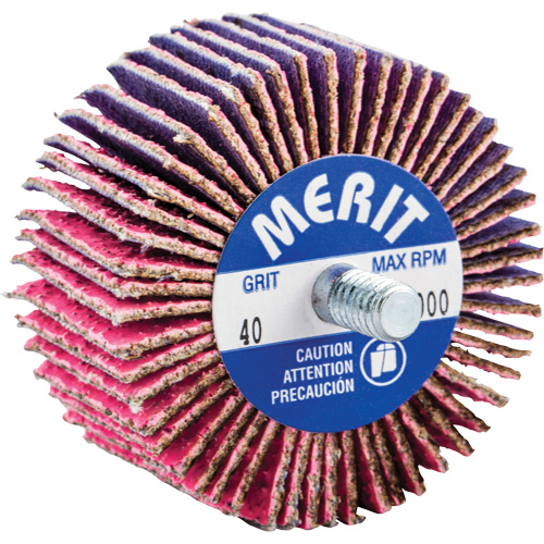 Threaded Mini Flap Wheel, Ceramic Alumina, 40 Grit, 2" x 1" x 1/4"-20 TGS INDUSTRIEL
