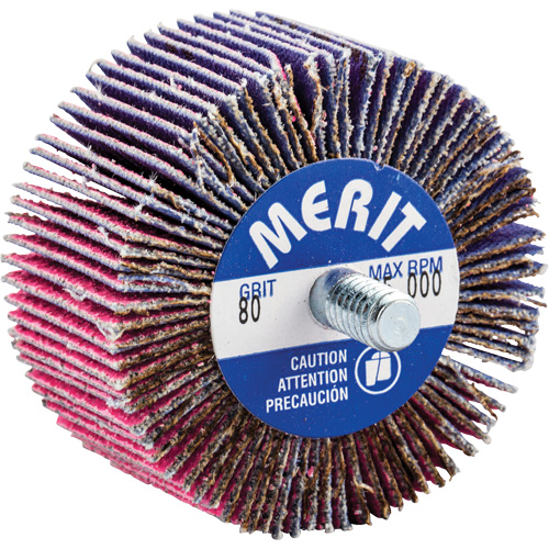 Threaded Mini Flap Wheel, Ceramic Alumina, 80 Grit, 2" x 1" x 1/4"-20 TGS INDUSTRIEL