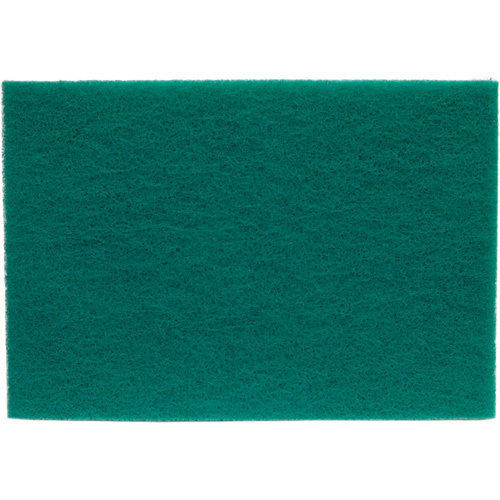 Tampons manuels Bear-Tex, Oxyde d'aluminium, 6" x 9", Grain Tr&egrave;s fin TGS INDUSTRIEL
