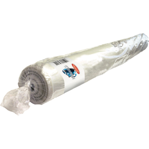 B&acirc;che en plastique transparent, 100' lo, 10' la TGS INDUSTRIEL