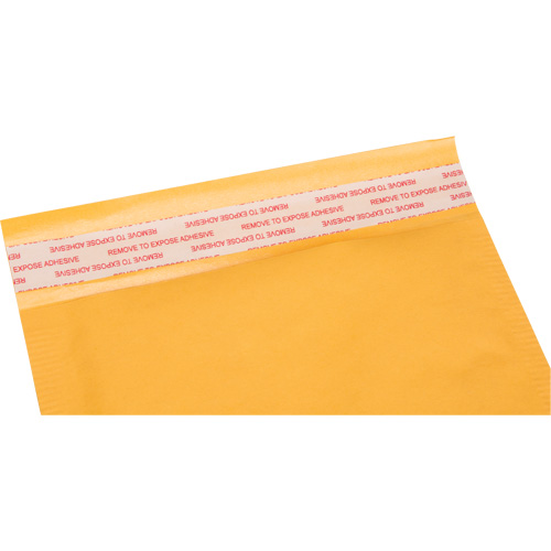 Enveloppes postales coussin&eacute;es, Kraft, 6" la x 10" lo TGS INDUSTRIEL