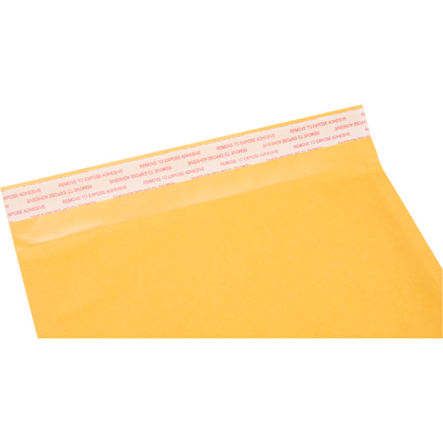 Enveloppes postales coussin&eacute;es, Kraft, 8-1/2" la x 14-1/4" lo TGS INDUSTRIEL