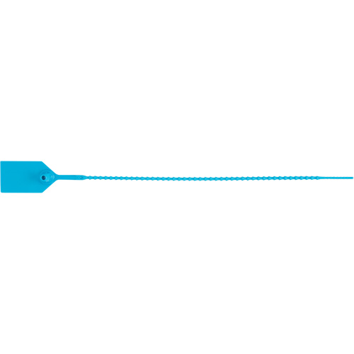 Scell&eacute; de s&eacute;curit&eacute; standard, 12", Plastique, Scell&eacute; en plastique TGS INDUSTRIEL