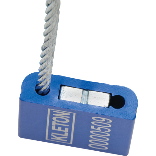 Scell&eacute;s de haute s&eacute;curit&eacute;, 12", M&eacute;tal, Scell&eacute; &agrave; c&acirc;ble TGS INDUSTRIEL