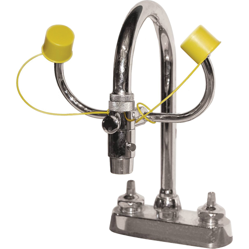 Eyewash Station, Sink Mount Installation TGS INDUSTRIEL
