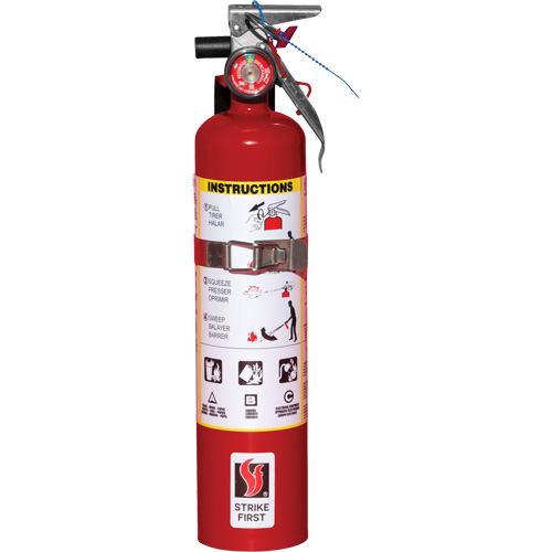 Extincteur d'incendie, ABC, Capacit&eacute; 2,5 lb TGS INDUSTRIEL