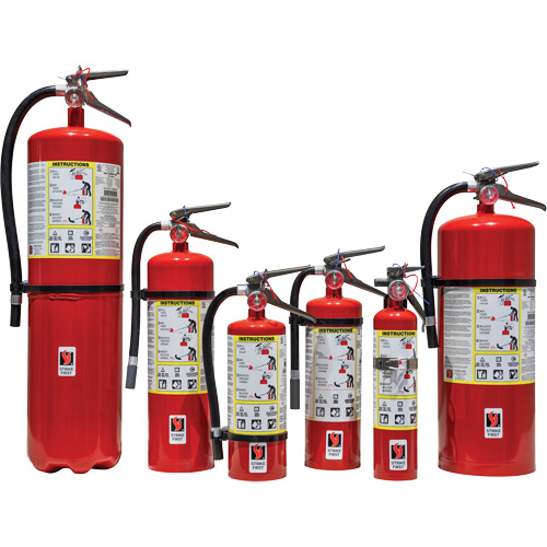 Extincteur d'incendie, ABC, Capacit&eacute; 2,5 lb TGS INDUSTRIEL