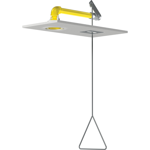 Horizontal Supply Emergency Shower Stations, Ceiling-Mount TGS INDUSTRIEL