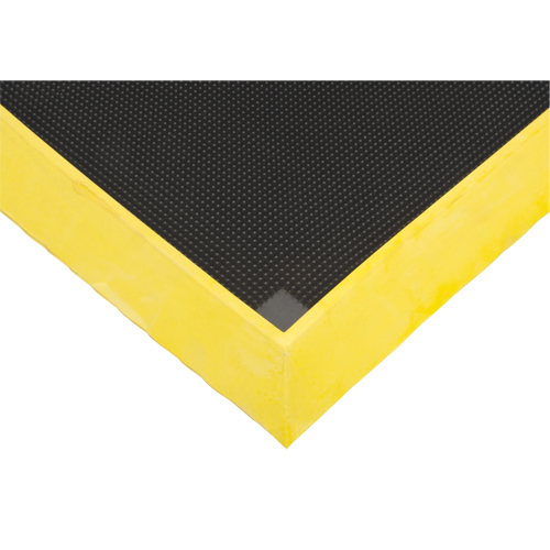 Tapis pour l'assainissement des chaussures, Caoutchouc, 2-2/3' la x 3-1/4' lo x 2-1/2" &eacute;pais, Jaune TGS INDUSTRIEL