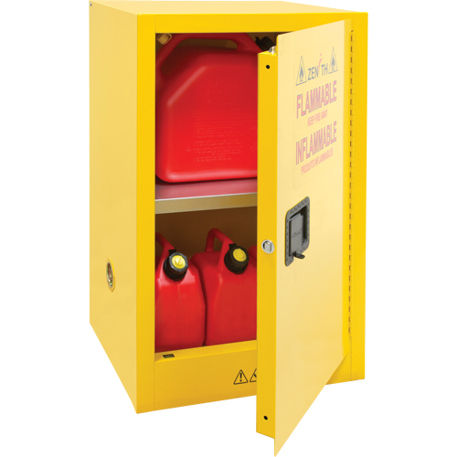 Flammable Storage Cabinet, 12 gal., 1 Door, 23" W x 35" H x 18" D TGS INDUSTRIEL