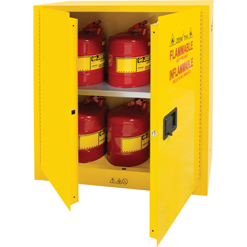 Flammable Storage Cabinet, 30 gal., 2 Door, 43" W x 44" H x 18" D TGS INDUSTRIEL