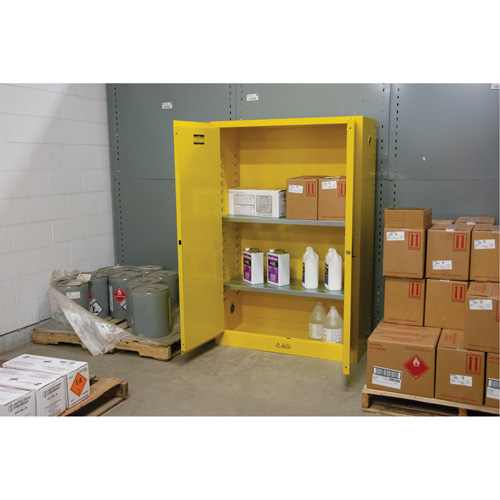 Armoire pour produits inflammables, 45 gal., 2 Porte(s), 43" La x 65" h x 18" p TGS INDUSTRIEL