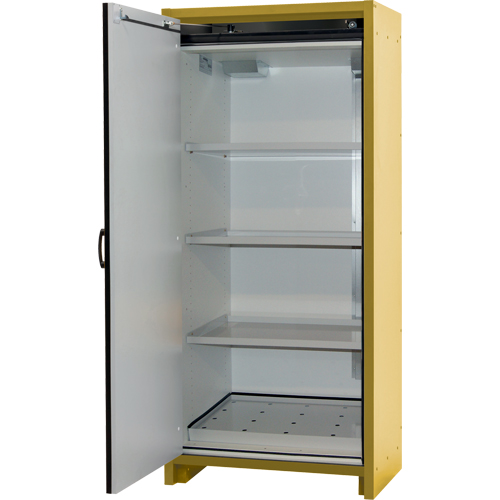 Armoire d'entreposage 30 minutes s&eacute;curitaire et conforme &agrave; la norme EN, 30 gal., 1 Porte(s), 34,02" La x 76,65" h x 24,21" p TGS INDUSTRIEL