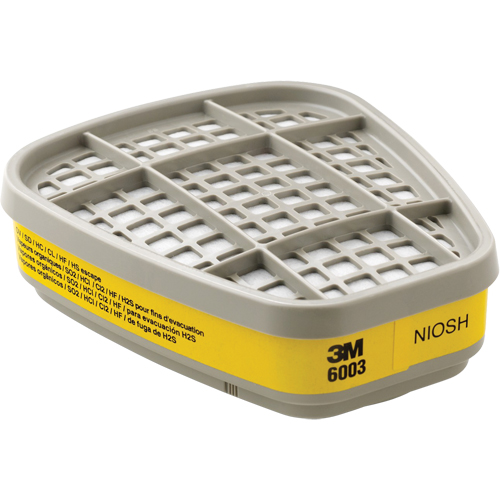 Cartouches pour respirateur s&eacute;rie 6000, Cartouche gaz/vapeur, Vapeurs organiques/Gaz acides TGS INDUSTRIEL