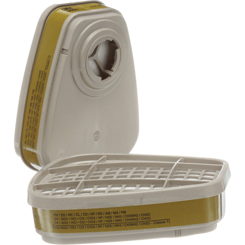 Cartouches pour respirateur s&eacute;rie 6000, Cartouche gaz/vapeur, Gaz multiples/Vapeurs TGS INDUSTRIEL