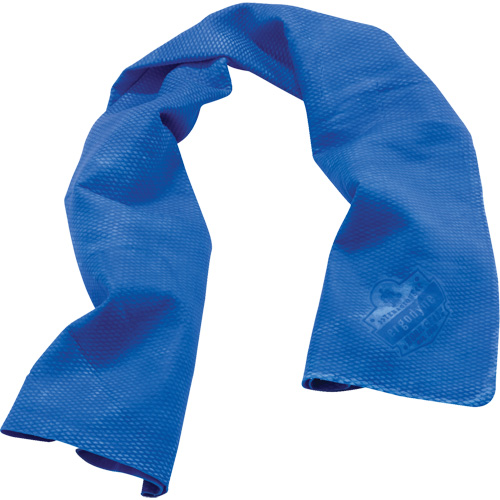 Chill-Its&reg; 6602 Cooling Towels, Blue TGS INDUSTRIEL