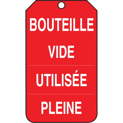 &eacute;tiquettes de s&eacute;curit&eacute; d'inspection et de contr&ocirc;le de l'&eacute;tat de l'&eacute;quipement, Papier cartonn&eacute;, 3-3/8" la x 5-7/8" h, Français TGS INDUSTRIEL