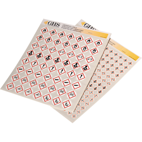 Assortiment d'&eacute;tiquettes avec pictogrammes sgh, Vinyle, Feuille, 1/2" lo x 1/2" la TGS INDUSTRIEL