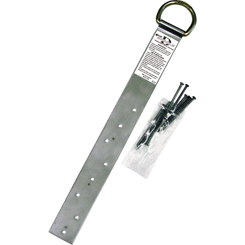 Ancrage simple pour toiture Miller, Anneau en D, Usage Permanent TGS INDUSTRIEL