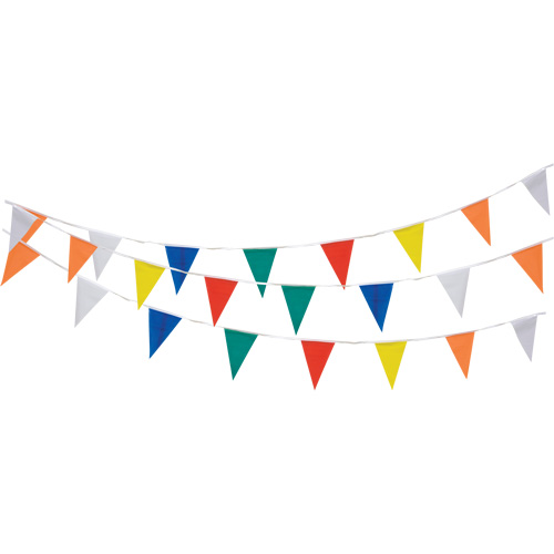 Pennant String, 60' L, Multicolour TGS INDUSTRIEL