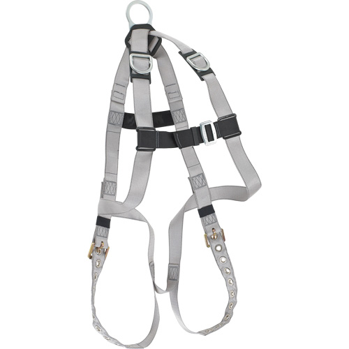Harnais &eacute;conomique de conformit&eacute; B Dynamic, Certifi&eacute;e CSA, Classe AE, Cap. 310 lb TGS INDUSTRIEL