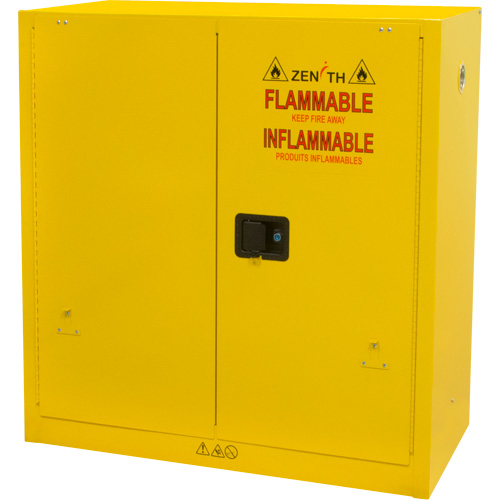 Flammable Storage Cabinet, 30 gal., 2 Door, 43" W x 44" H x 18" D TGS INDUSTRIEL