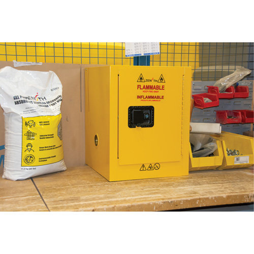 Armoire pour produits inflammables, 4 gal., 1 Porte(s), 17" La x 22" h x 18" p TGS INDUSTRIEL