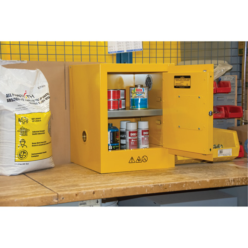 Armoire pour produits inflammables, 4 gal., 1 Porte(s), 17" La x 22" h x 18" p TGS INDUSTRIEL