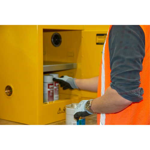 Armoire pour produits inflammables, 4 gal., 1 Porte(s), 17" La x 22" h x 18" p TGS INDUSTRIEL