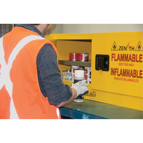 Flammable Storage Cabinet, 12 gal., 2 Door, 43" W x 18" H x 18" D TGS INDUSTRIEL