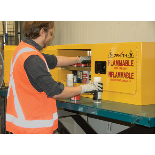Flammable Storage Cabinet, 12 gal., 2 Door, 43" W x 18" H x 18" D TGS INDUSTRIEL