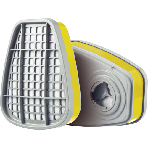Cartridge, Gas/Vapour Cartridge, Multi-Gas/Vapour TGS INDUSTRIEL
