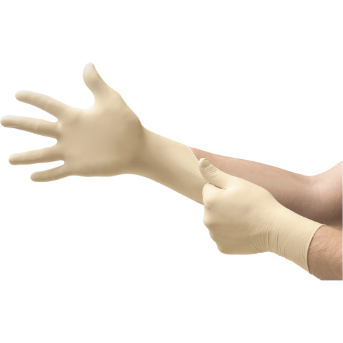 MICROFLEX&reg; Ultra One&reg; Examination Gloves, 6.5/7/Small, Latex, 9.8-mil, Powder-Free, Natural, Class 2 TGS INDUSTRIEL