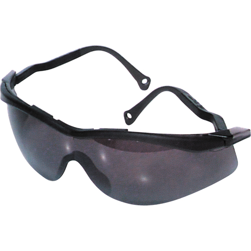 Lunettes de s&eacute;curit&eacute; North The Edge, Lentille Fum&eacute;e, Antibu&eacute;e/Anti-&eacute;gratignures, R&eacute;pond ou surpasse la norme CSA Z94.3 TGS INDUSTRIEL