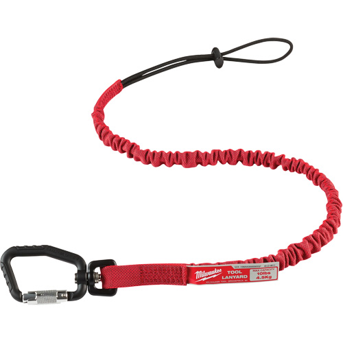 Longe verrouillable pour outils, Tendeur, Mousqueton/boucle TGS INDUSTRIEL