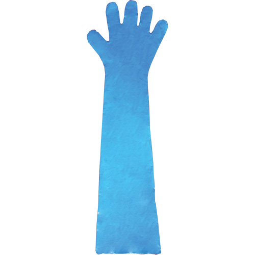 Disposable Gloves, Polyethylene, Powder-Free, Blue TGS INDUSTRIEL