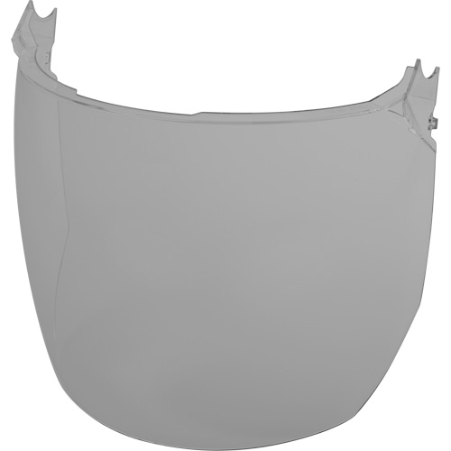 Lentilles de remplacement d&eacute;cran facial, Polycarbonate, Teinte Grise/fum&eacute;e TGS INDUSTRIEL