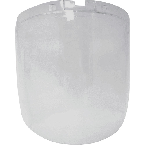 &eacute;cran antibrouillard de remplacement de la s&eacute;rie DP4, Polycarbonate, Teinte Transparent TGS INDUSTRIEL