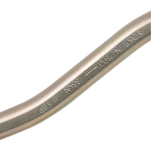 CP-04011-1 Zinc Plated Carabiner with 2" Gate Opening, Steel TGS INDUSTRIEL