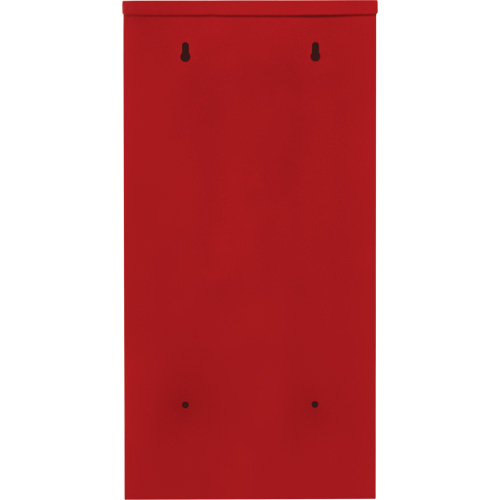 Heavy-Duty Outdoor Fire Extinguisher Cabinet, 14" W x 28" H x 10" D TGS INDUSTRIEL
