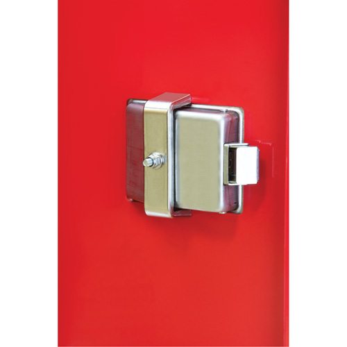 Heavy-Duty Outdoor Fire Extinguisher Cabinet, 14" W x 28" H x 10" D TGS INDUSTRIEL