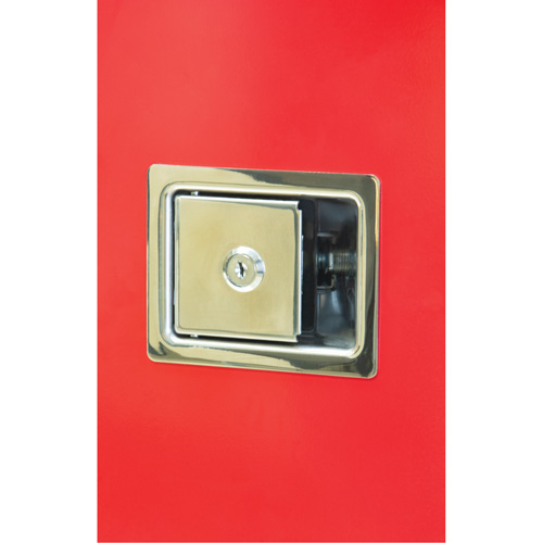 Heavy-Duty Outdoor Fire Extinguisher Cabinet, 14" W x 28" H x 10" D TGS INDUSTRIEL