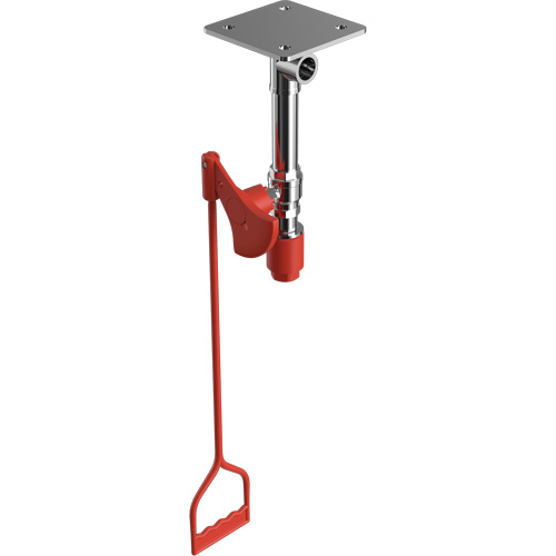 Drench Shower, Ceiling-Mount TGS INDUSTRIEL