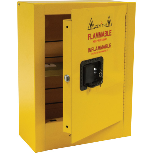 Armoire de s&eacute;curit&eacute; miniature pour produits inflammables, 2 gal., 1 Porte(s), 17" La x 22" h x 8" p TGS INDUSTRIEL