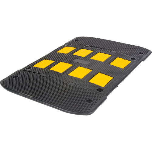 Speed Hump with End Caps, Rubber, 3' L x 40" W x 2" H TGS INDUSTRIEL